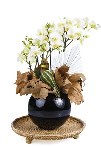 Premium Hoop Orchid