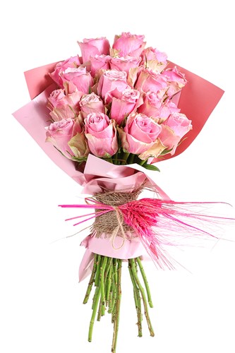 Premium Pink Roses