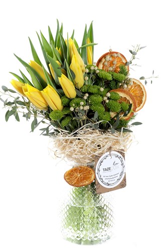 Pro Beyond Yellow Tulip