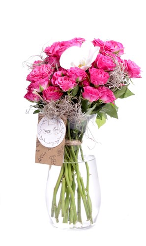 Pure Pink Roses & Orkide