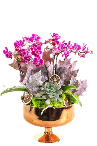 Purple Orchid Gold Vase