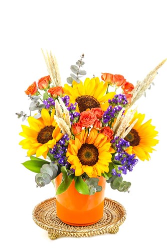 Sun Flower Of Orange