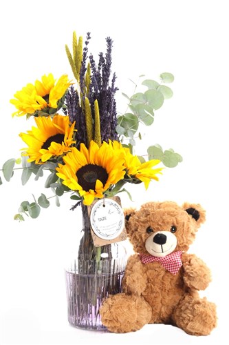 Teddy & Sunflower