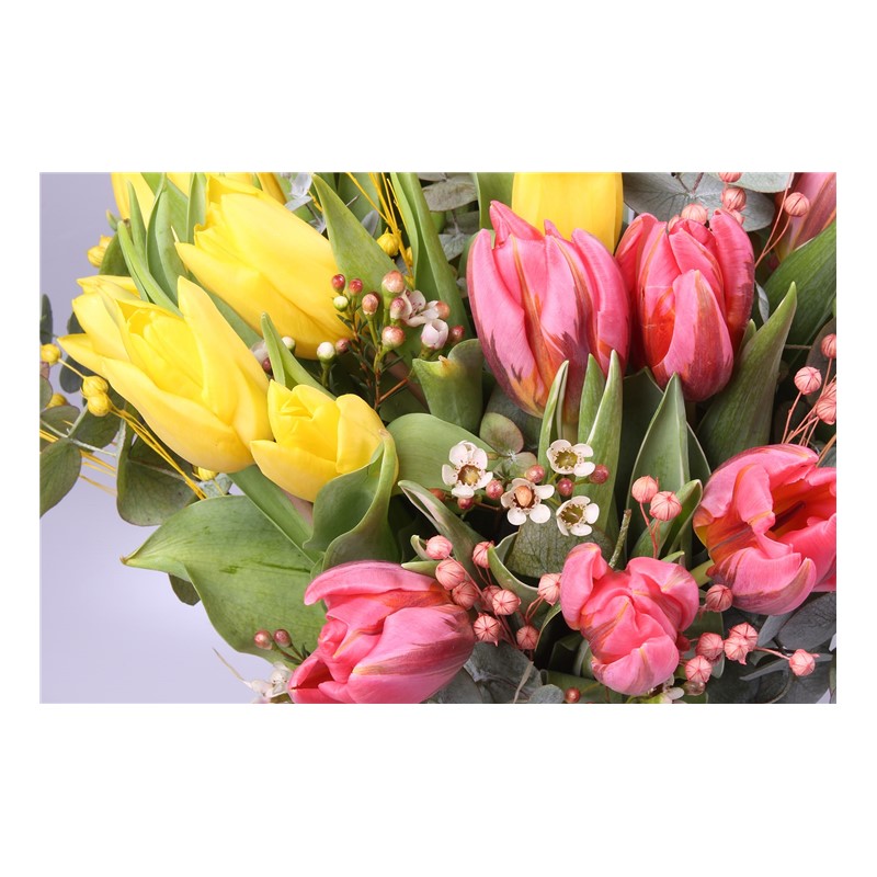 Magical Tulips - Lale