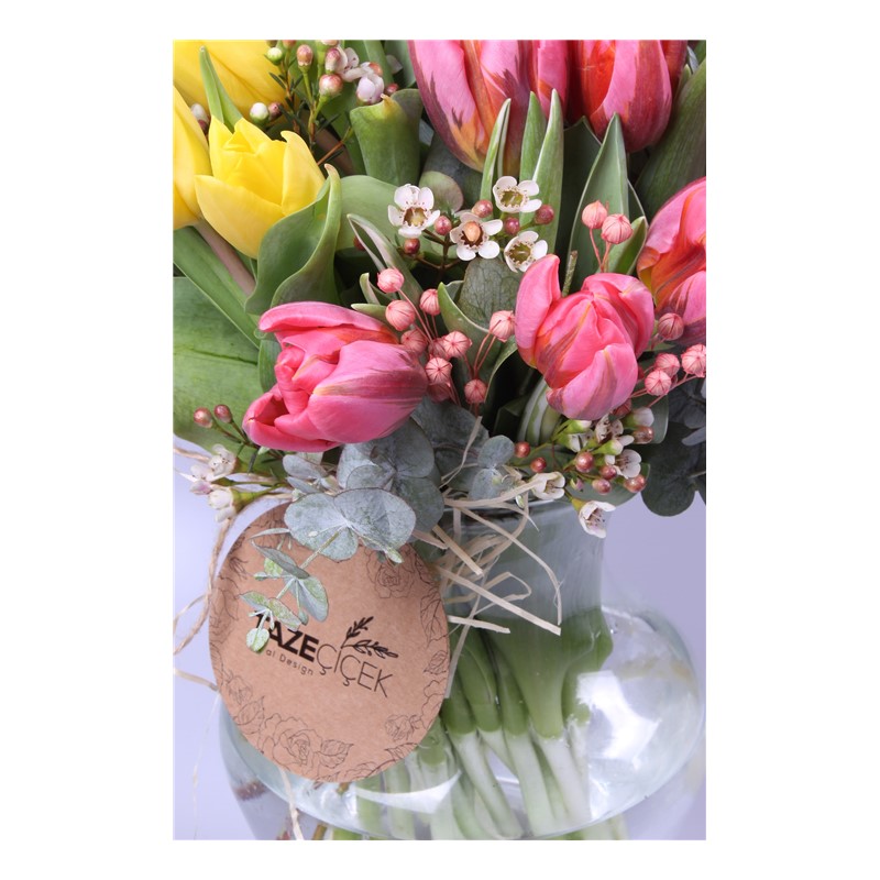 Magical Tulips - Lale