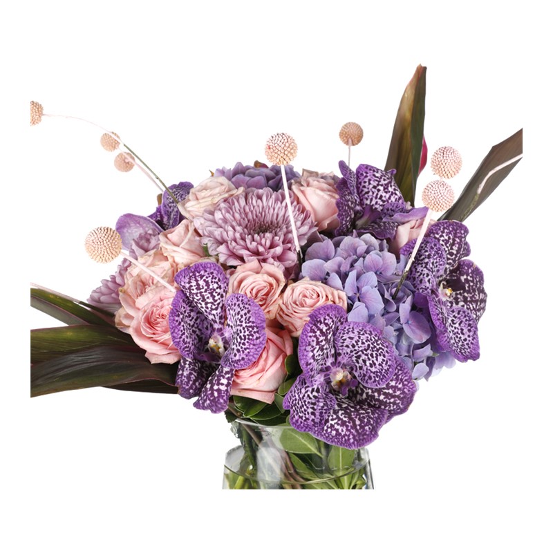 Luxury Arrangement & Vanda Lover
