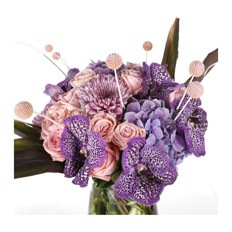 Luxury Arrangement & Vanda Lover