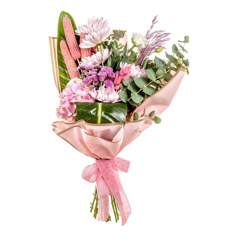 PRO & Elegance Of Pink