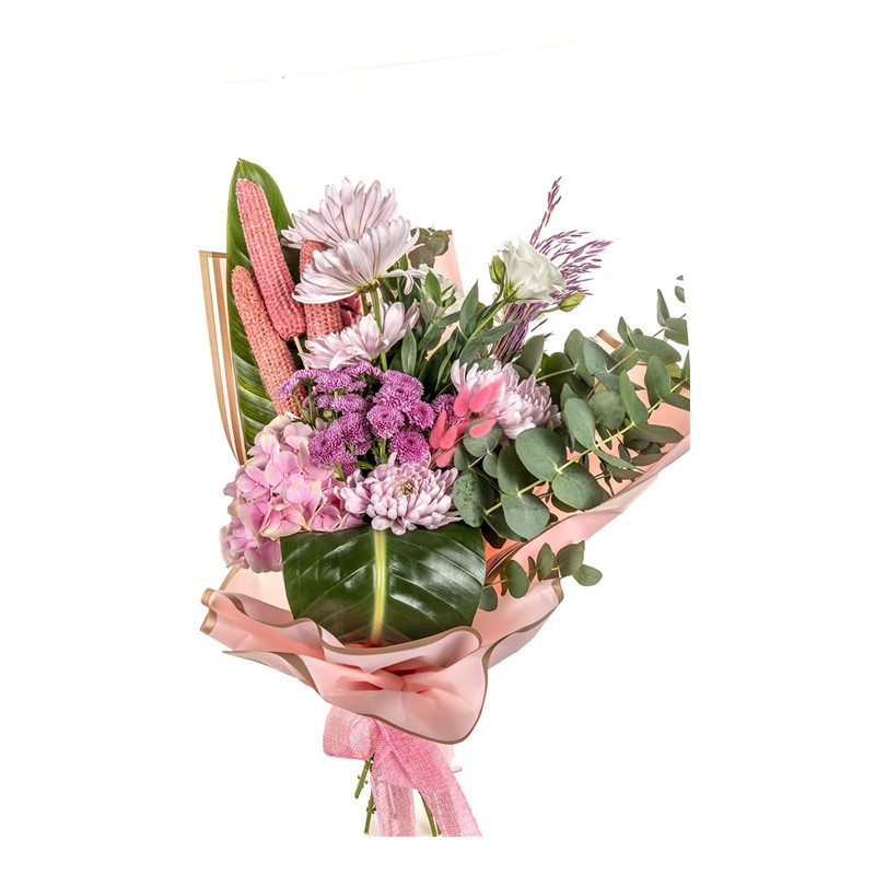 PRO & Elegance Of Pink