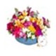 The Spring & Flower Press