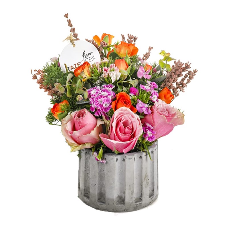 Mixed Press Seasonal Flowers