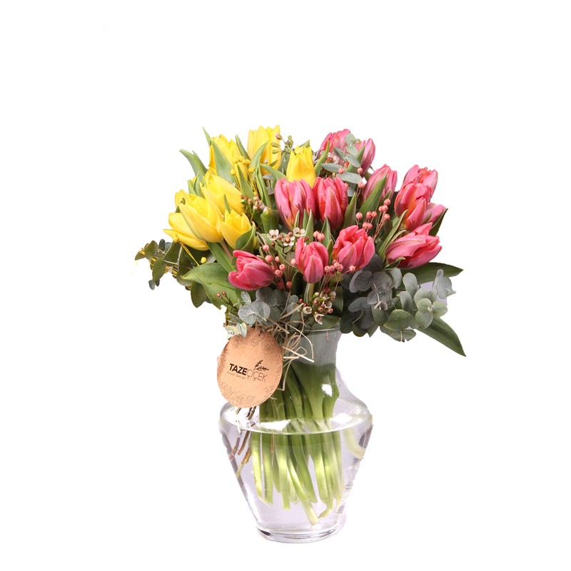 Magical Tulips - Lale