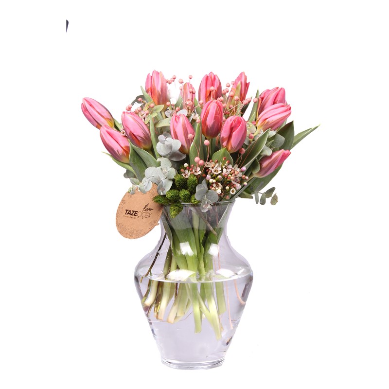 Pink Tulips - Lale