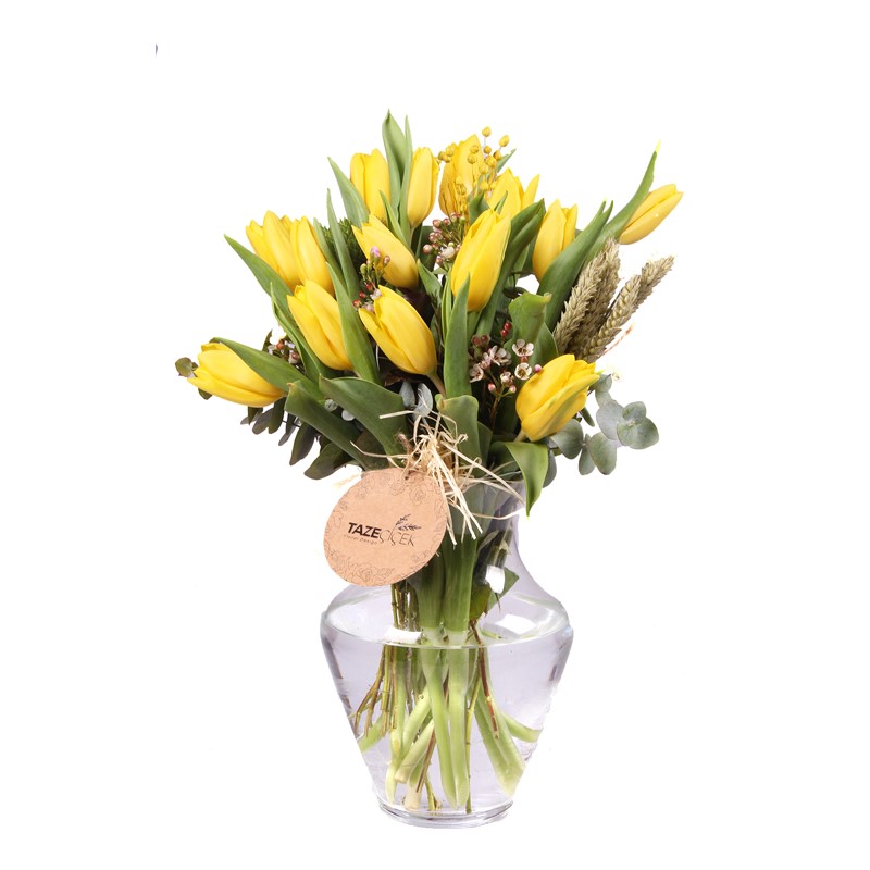 Yellow Tulips - Lale