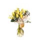 Basic Yellow Laleler