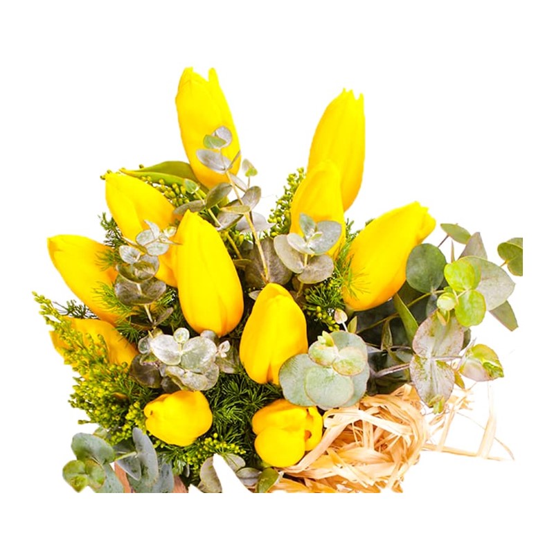 Basic Yellow Laleler
