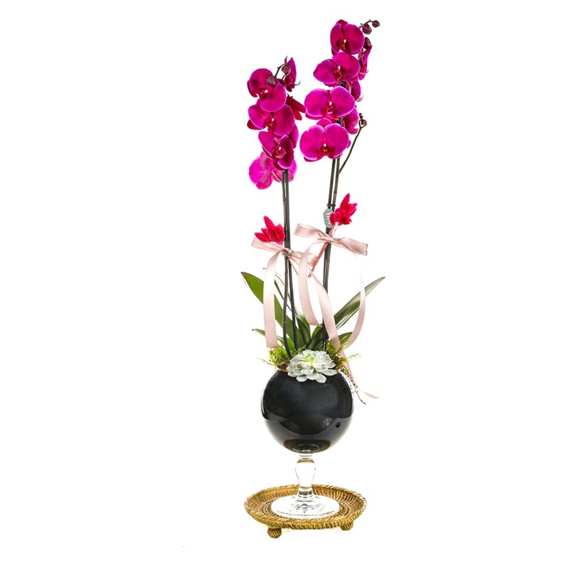 Pink Orchid Black Vase