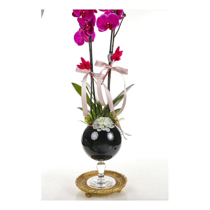 Pink Orchid Black Vase