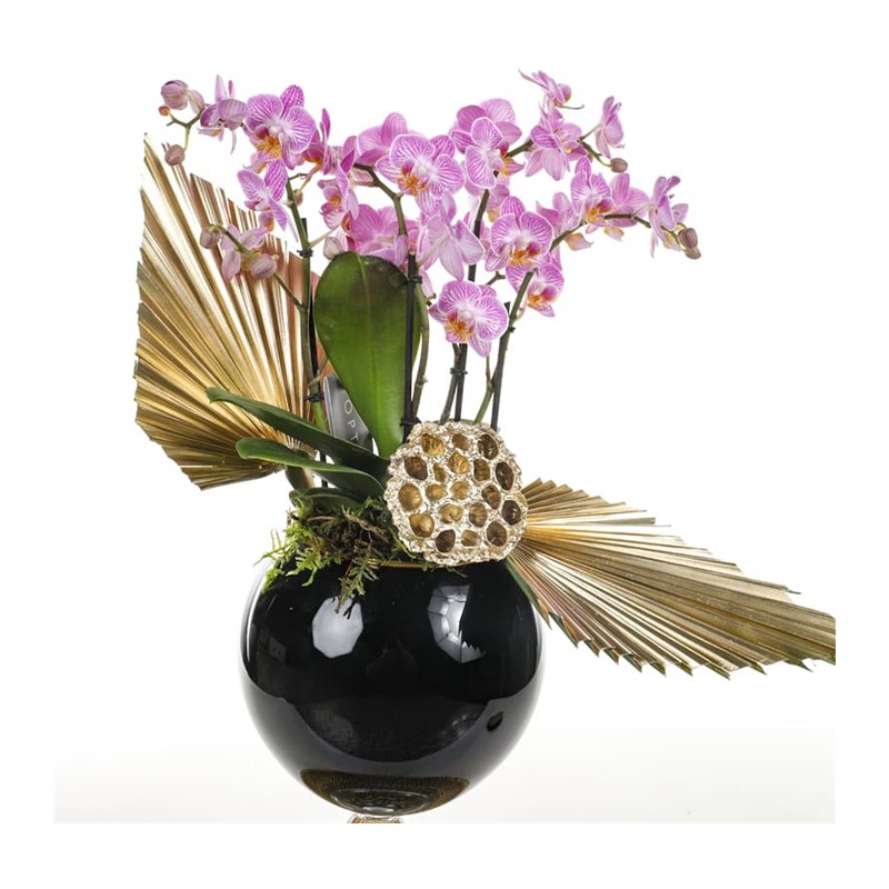 Black Vase Of Pink