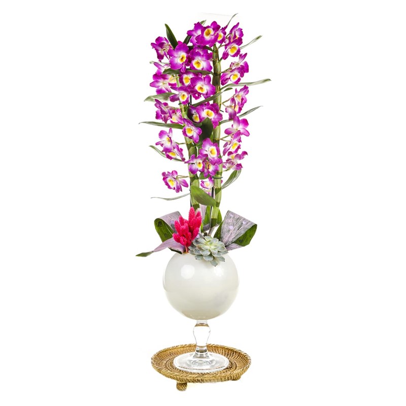 Dendrobium Of White