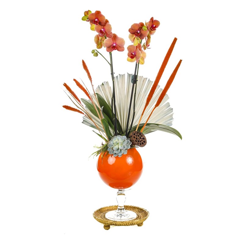 Orange Luxury Orchid