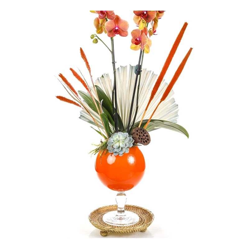 Orange Luxury Orchid