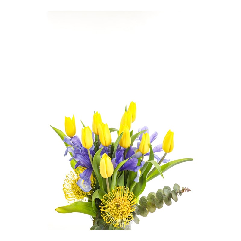 Yellow Tulip Effect