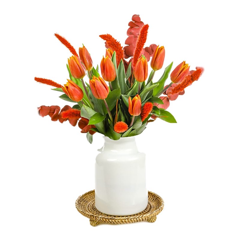 Orange Tulip Effect