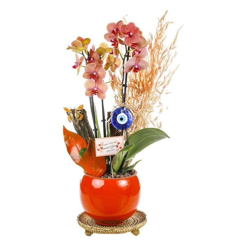 Orange Flower Pot and Evil Eye Bead