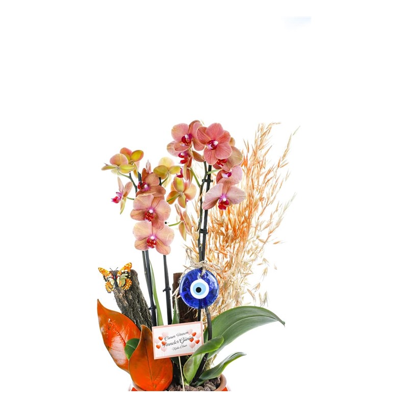 Orange Flower Pot and Evil Eye Bead