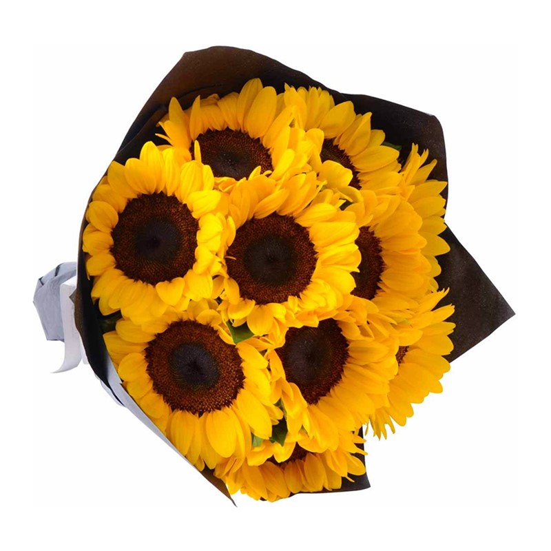 Günebakan Sunflowers