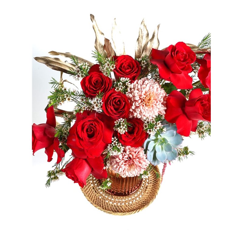 Salmon Red Roses