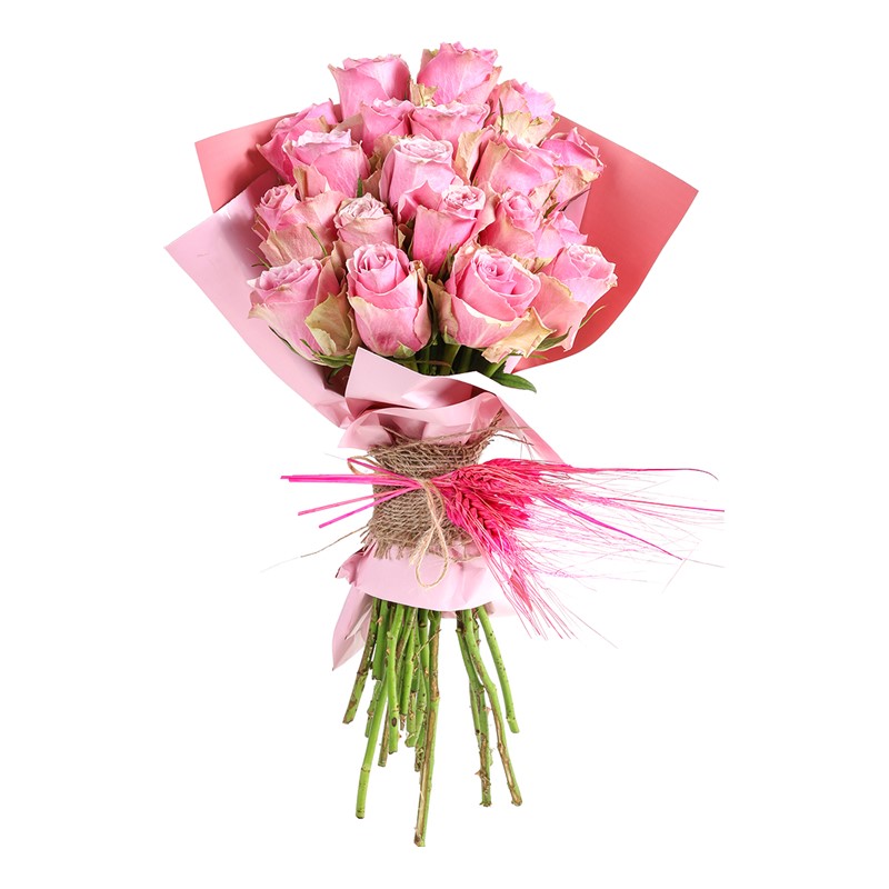 Premium Pink Roses