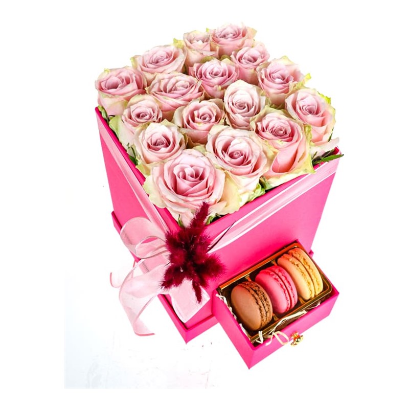 Pink Rose İn Makaron