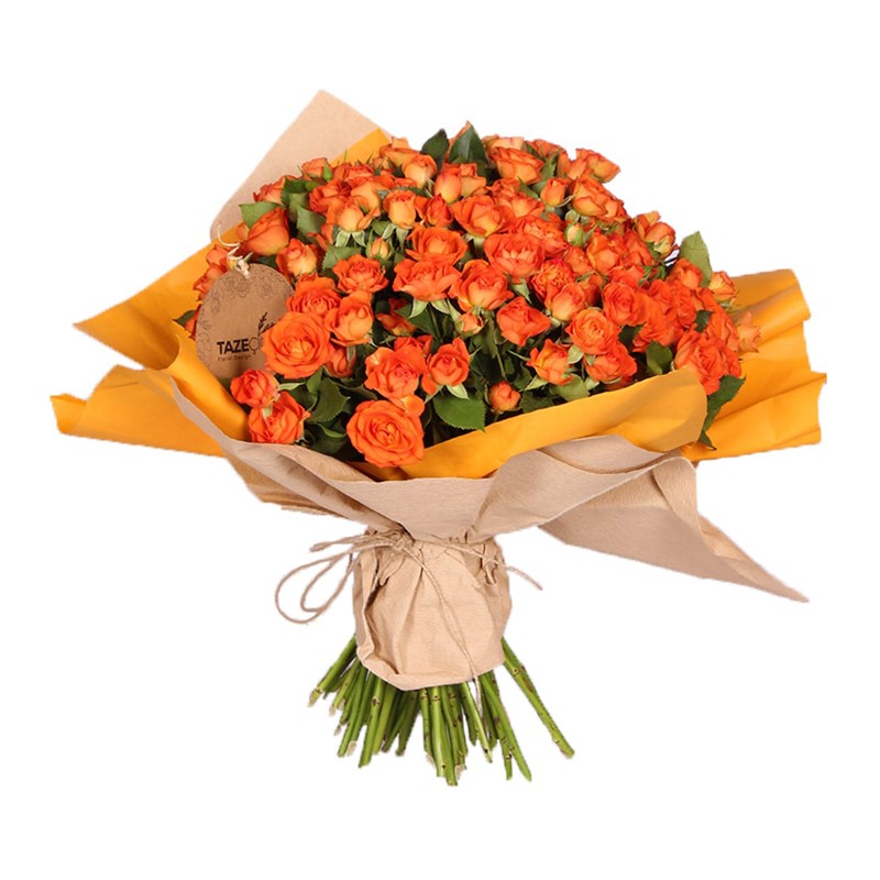 Peace Orange Güller