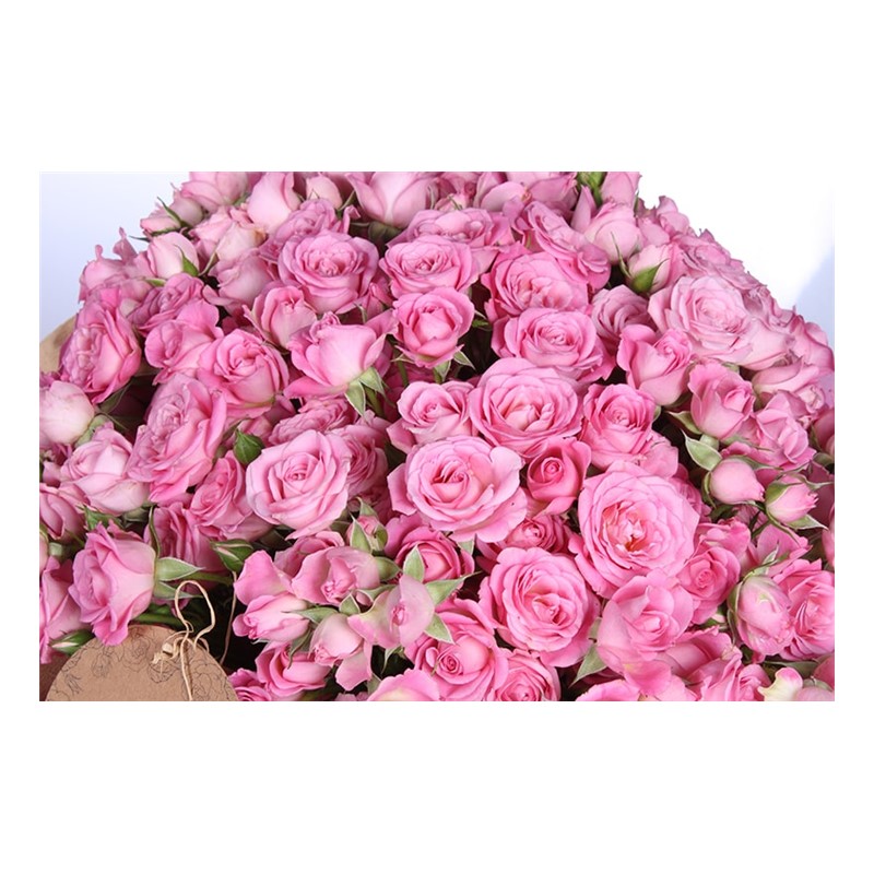 Stylish Pink Gül Buketi