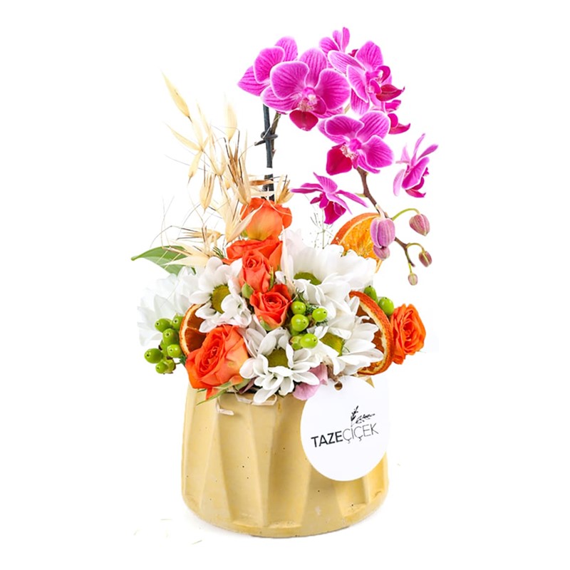 Mixed Dessert Superior Arrangement