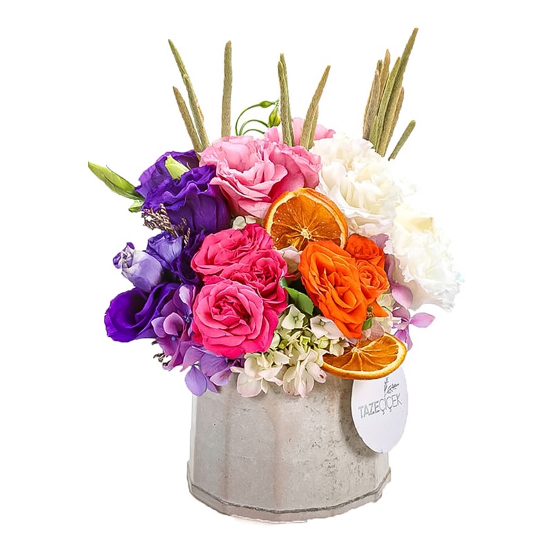 Multicolored Flowers