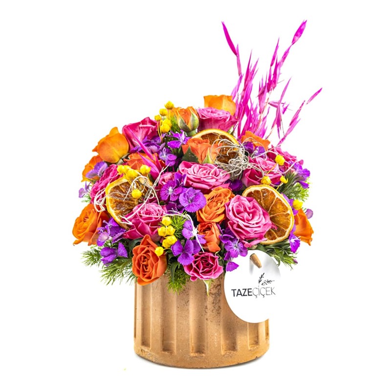 Colorful Fun