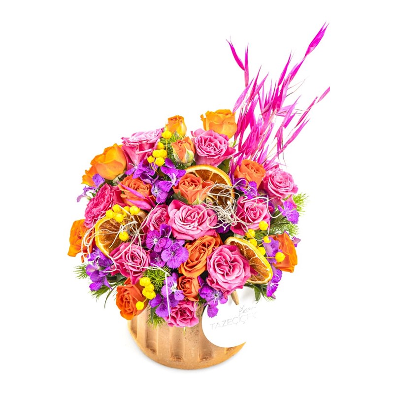 Colorful Fun