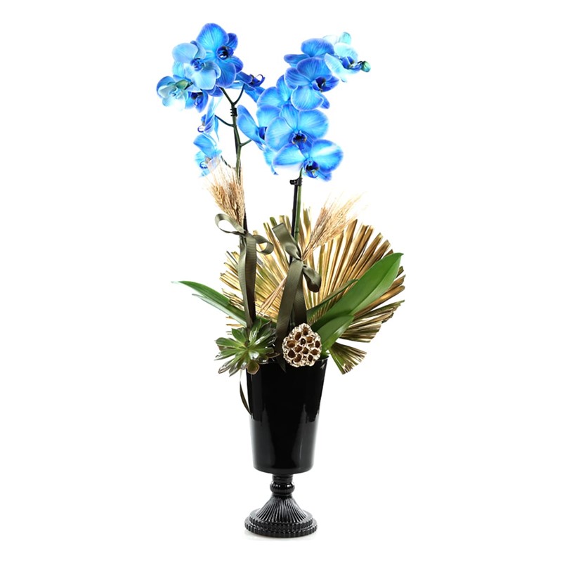 Golden Blue Orchid