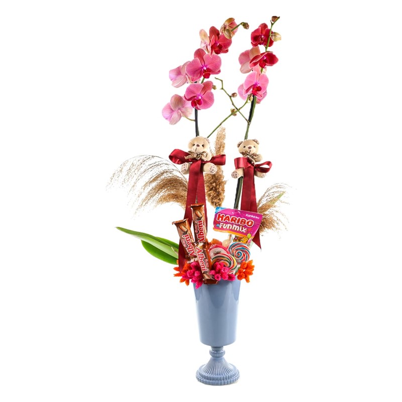 Orchid Like Chocolate