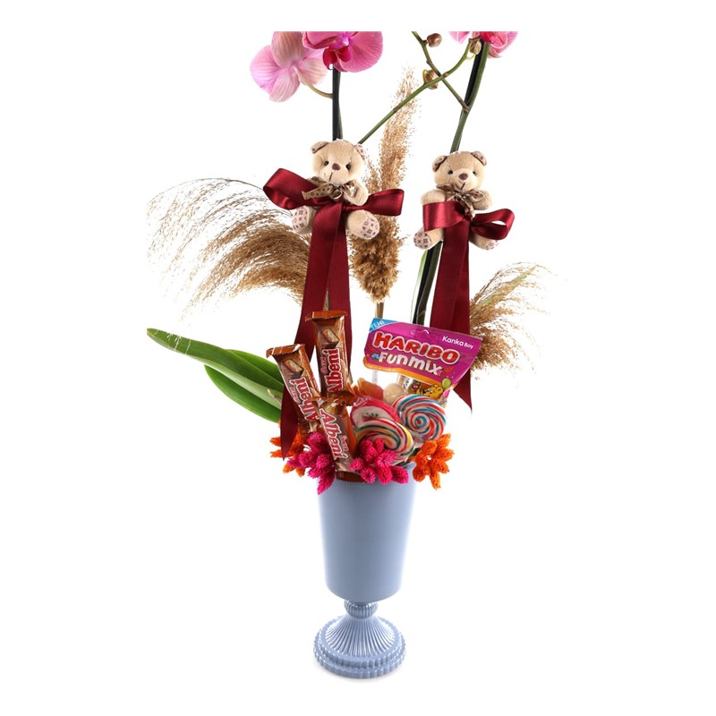Orchid Like Chocolate