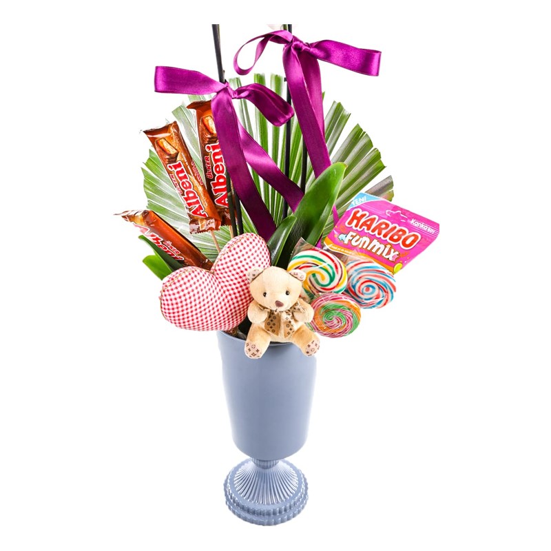 Jelly Bean Orchid