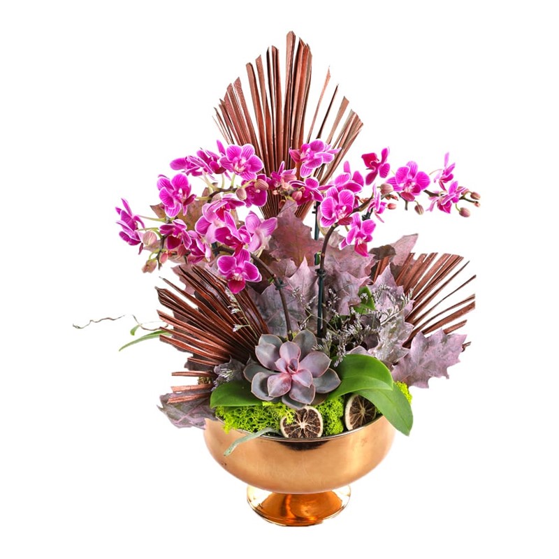 Mini Luxury Orchid