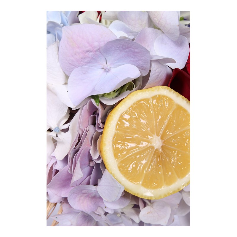 Organic Ortancalar