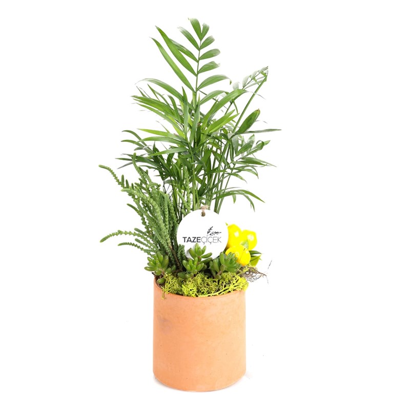 Creative Greenery