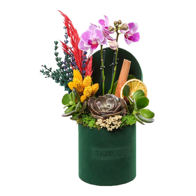 Majestic Orchid Garden