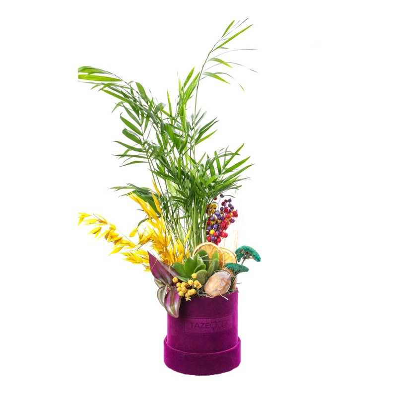 Temperate Flower