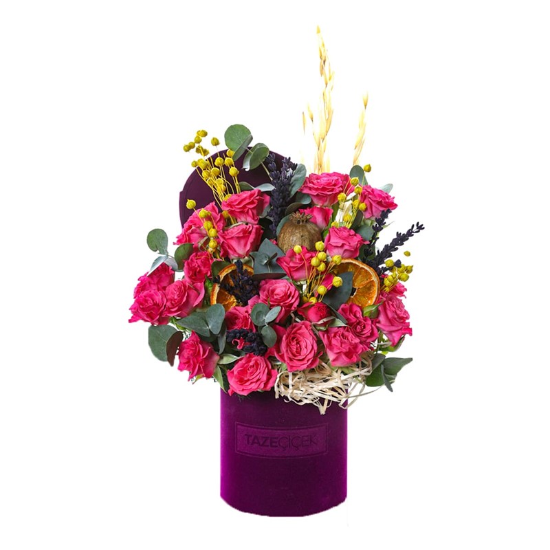 Velvet Touch Rose Radiance